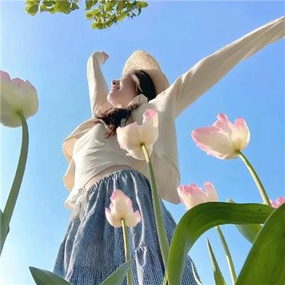 双花镜